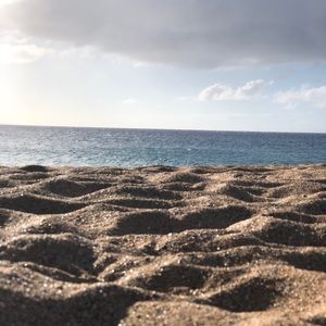 Meet your Posher, Jayla